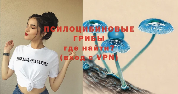 сатива Корсаков