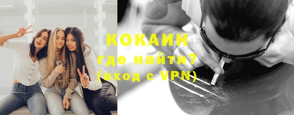 сатива Корсаков