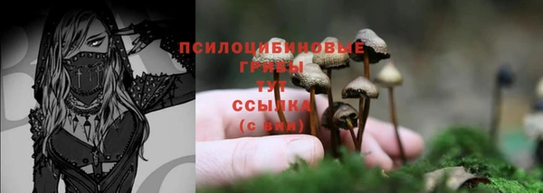 экстази Кодинск