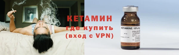 сатива Корсаков