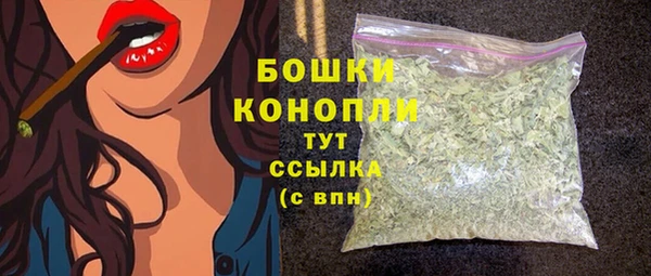 стафф Козловка