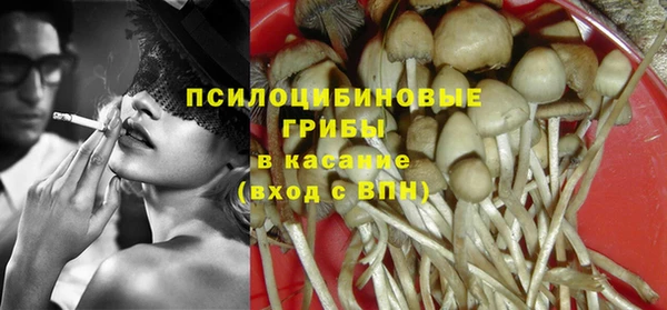 сатива Корсаков