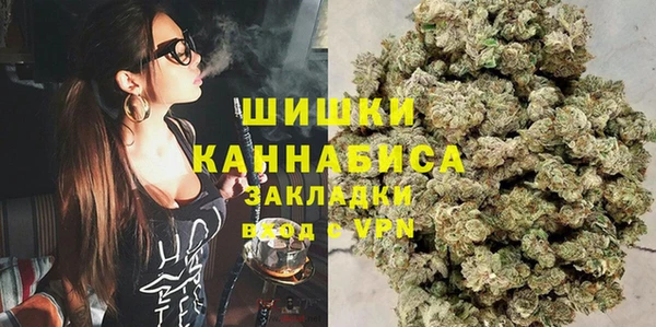 сатива Корсаков