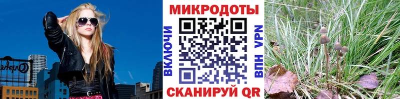 Псилоцибиновые грибы ЛСД  Купить закладки  Егорьевск 